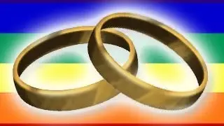 Married Gay Couple Denied Driver's License in Florida