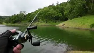 Guadalupe Reservoir a Slice of paradise