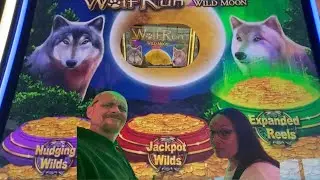 Let's see if WOLF RUN WILD MOON will be generous today