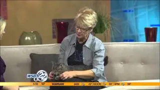 Pet Refuge Pet: Mayflower