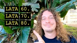 Jak POPRAWNIE powiedzieć LATA 60., LATA 70., LATA 80., etc. po hiszpańsku? | Hablo Español 285
