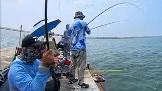 教你钓鲻鱼 鲻鱼怎么钓 矶钓竿 滑漂线组 大物漂 孤东海堤钓鲻鱼 东营海钓#小李带你玩海钓 #我的钓鱼日记 #夏日正是钓鱼时 #在中东钓鱼vlog