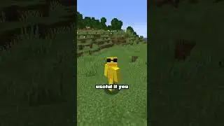 How to LOCK and FILTER Hoppers! 💯