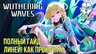 WUTHERING WAVES ПОЛНЫЙ ГАЙД НА ЛИНЕЙ! САМЫЙ УНИВЕРСАЛЬНЫЙ СПЕКТР РЕЗОНАТОР СБОРКА И ПРОКАЧКА