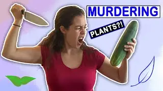 Do plants scream in pain? (DEBUNKING VEGAN MYTHS)