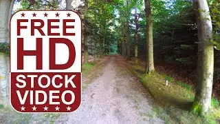 Free Stock Videos &ndash; places of the world Netherlands beautiful forest road passing through
