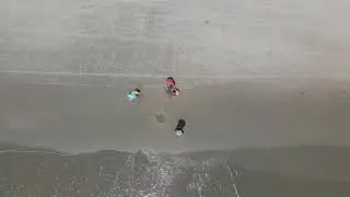 Oib 2020