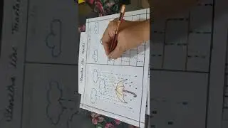 how to learn standing line || standing line || worksheet for play group nursery LKG UKG students