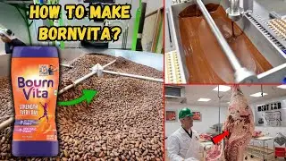 फैक्ट्री में Bournvita कैसे बनती है और इसमे अंडे क्यूँ मिलाए जाते है? । How To Make Bournvita