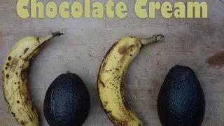 Chocolate Cream Song Recipe (Felix Olschewski) (classic paleo vegan recipe)