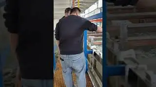 New electroplating production line#electroplating #plating #coating #galvanized