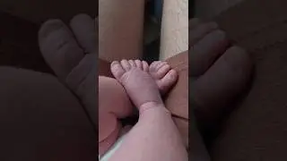 Show the Paws, then Show the Face 😍👼