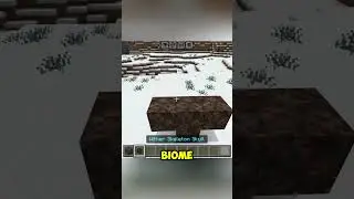 Why Your Wither Won&rsquo;t Spawn in Snow Biome