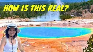 Yellowstone Vlog✨Geysers, Hot Springs, Wildlife Encounters & Scenic Drives | Redge Tampon