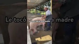 Finca San Benito, le toc&oacute; ba&ntilde;o a la madre.