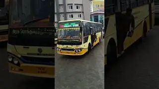 Tnstc modified  bus entry - Palakkad ksrtc bus station #shortvideo #shortsfeed #bus #tnstc #driving