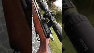Air arms s410 review