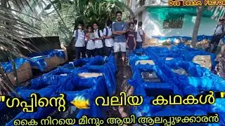 ഗപ്പി വളർത്തി ചില്ല് പെട്ടിയിൽ ഇട്ടു തരും ||aquatics plants തകർപ്പൻ ശേഖരം||Guppy||Our Dream Factory|