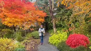 Fall Garden Maintenance Tips