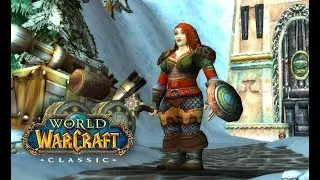 23-25 лвл World of Warcraft Classic - ru Хроми пве - играю За Паладина дворфа спек свет