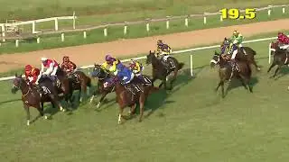 TIMELESS ROMANCE wins The Alnasr Alwasheek Handicap Div-2