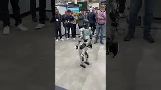 Is this guy going to take your job!!