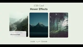CSS Card Hover Effects | Web Design Tutorial