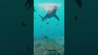 Stranded deep un requin 🤯🦈