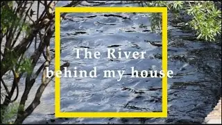 Bharalu-Bahini | The river behind my house