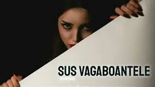 Hai sus vagaboantele ( hituri manele 2025 ) CULTURA MANELELOR