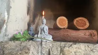 P&acirc;ntano m&aacute;gico #meditation #minibuda