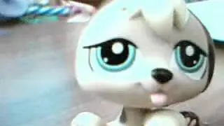 physcic  preview