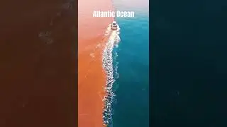 Two Oceans That Never Mix! The Mysterious Meeting of the Pacific & Atlantic #shorts #science