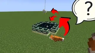 will the fox jump into the portal