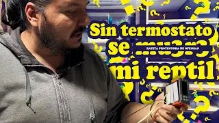 Termostatos SÚPER BARATOS y Cómo Utilizarlos