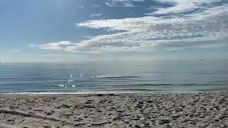Marriott Harbor & Beach Resort Fort Lauderdale