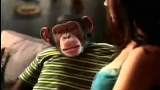 Bud Light Commercial - Monkey [TOPFUNNYADS.COM]