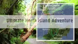 Active Adventures New Zealand Trips