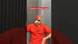 Situation of animals in India | Sarcaster