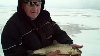 Lock and Load Monster Whitefish, Big Water Whitefish, Green Bay Alexander Whitefish