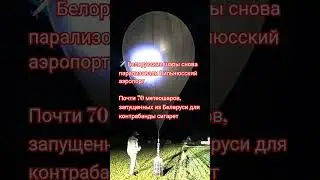 Белорусь#Литва#контробанда#зонд#новости #new #