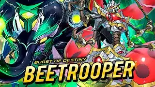 Deck BEETROOPER + An&aacute;lisis 📈 | Post BURST OF DESTINY 🔥