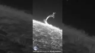 Amazing Coronal Mass Ejection! CME Seen Through My Solar Telescope #astronomy  #space  #solarsystem