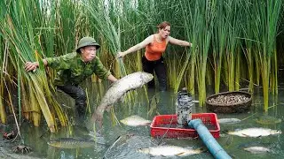 Farm Life: Catching Giant Fish to Sell at Market &ndash; Step-by-Step Traditional Fish Noodles!