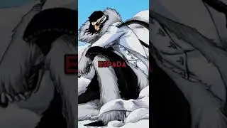 VIZARD | Espada | Gotei13 #bleach #shorts #anime #edit #vizard #gotei13 #espada
