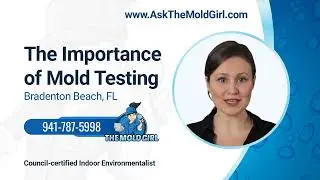 The Importance of Mold Testing in Bradenton Beach, FL
