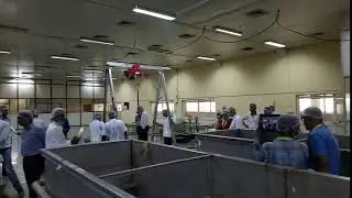 Our Mango Pack House