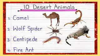 10 Desert Animals Name || Desert animals name in English || Desert animals name