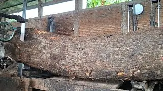 Long Curved Wood is made into wood slabs in a short time 