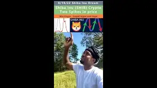 Мечта о скачках цен у породы Шиба-Ину (Шиб) 2 &mdash; Mac Prayze 19.08.22